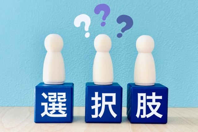 選択肢の画像