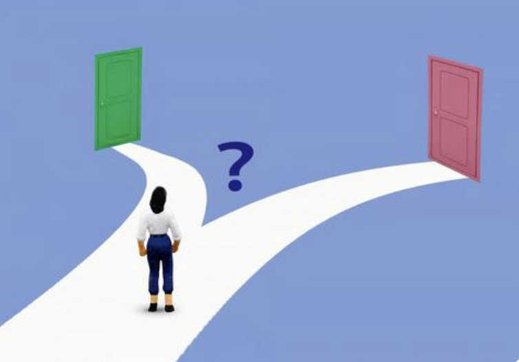 合同葬を選んだ愛猫との別れ｜個別葬との違いを考えた日